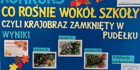 Powiększ grafikę: "Co rośnie wokół szkoły, czyli krajobraz zamknięty w pudełku". Projekt Erasmus+