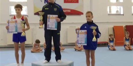 Powiększ grafikę: eliminacje-do-ogolnopolskiej-olimpiady-mlodziezy-oraz-druzynowych-mistrzostw-polski-211238.jpg