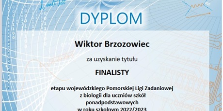 Powiększ grafikę: Dyplom Wiktora Brzozowca.