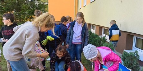 Powiększ grafikę: Pani Ania Grzyb pomaga dzieciom w sadzeniu żonkili. 