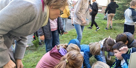 Powiększ grafikę: Pani dyrektor Ewa Leyk - Latowska wspólnie z dziećmi sadzi żonkile na szkolnej rabatce.