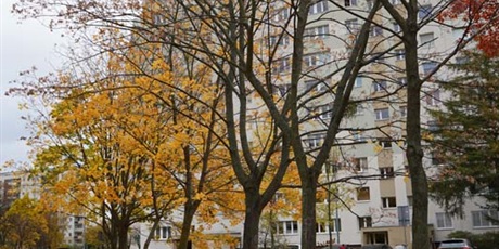 Powiększ grafikę: jesien-na-zabiance-564652.jpg