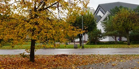 Powiększ grafikę: jesien-na-zabiance-564653.jpg