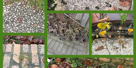 Powiększ grafikę: Akcja Ekologiczna w ZSSIMS