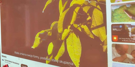 Powiększ grafikę: Akcja Ekologiczna w ZSSIMS