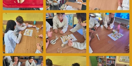 Powiększ grafikę:  Projekt „Exploring the Effect of Vitamin C on Food Spoilage”
