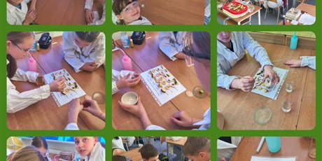 Powiększ grafikę:  Projekt „Exploring the Effect of Vitamin C on Food Spoilage”