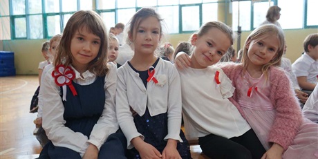 Powiększ grafikę: narodowe-swieto-niepodleglosci-w-zssims-391172.jpg