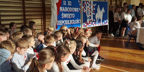 Powiększ grafikę: narodowe-swieto-niepodleglosci-w-zssims-391176.jpg