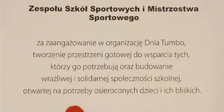 Powiększ grafikę: Podsumowanie akcji Dzień Tumbo