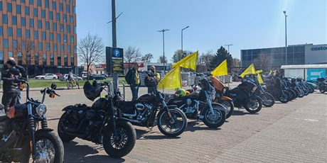 Powiększ grafikę: pola-nadziei-2023-433887.jpg