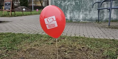 Powiększ grafikę: Szlachetna Paczka w ZSSiMS 