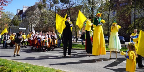 Powiększ grafikę: zolta-moc-nadziei-w-zssims-689708.jpg