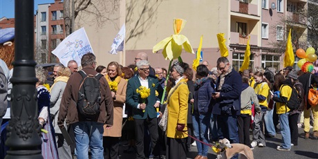 Powiększ grafikę: zolta-moc-nadziei-w-zssims-689715.jpg