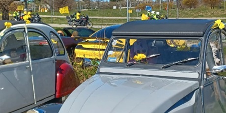 Powiększ grafikę: zolta-moc-nadziei-w-zssims-689728.jpg