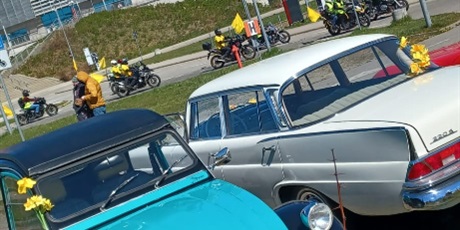 Powiększ grafikę: zolta-moc-nadziei-w-zssims-689730.jpg