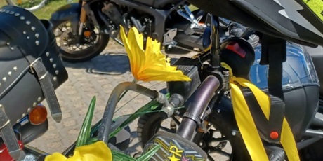 Powiększ grafikę: zolta-moc-nadziei-w-zssims-689736.jpg